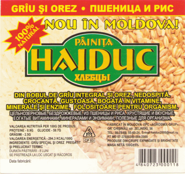 Logoul Haiduc - observații evidente