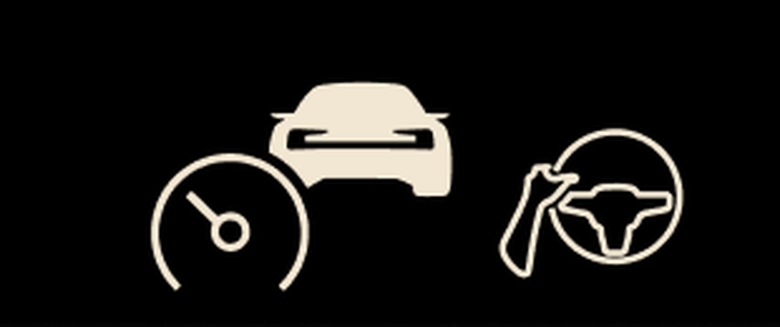 Detail: the three driver-assistance icons, with different stroke weights