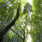 gallery-blog-image