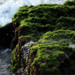 gallery-blog-image