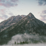 gallery-blog-image