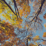 gallery-blog-image