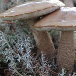 gallery-blog-image
