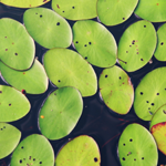 gallery-blog-image
