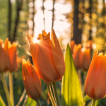 gallery-blog-image